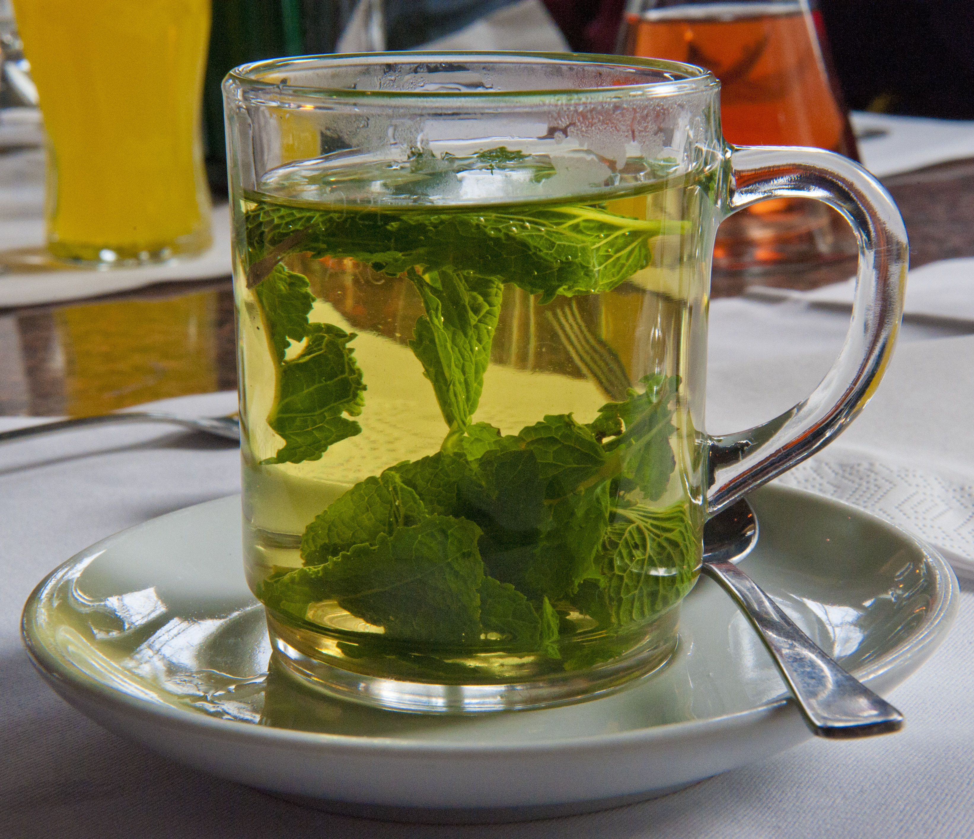 Peppermint-tea_hg