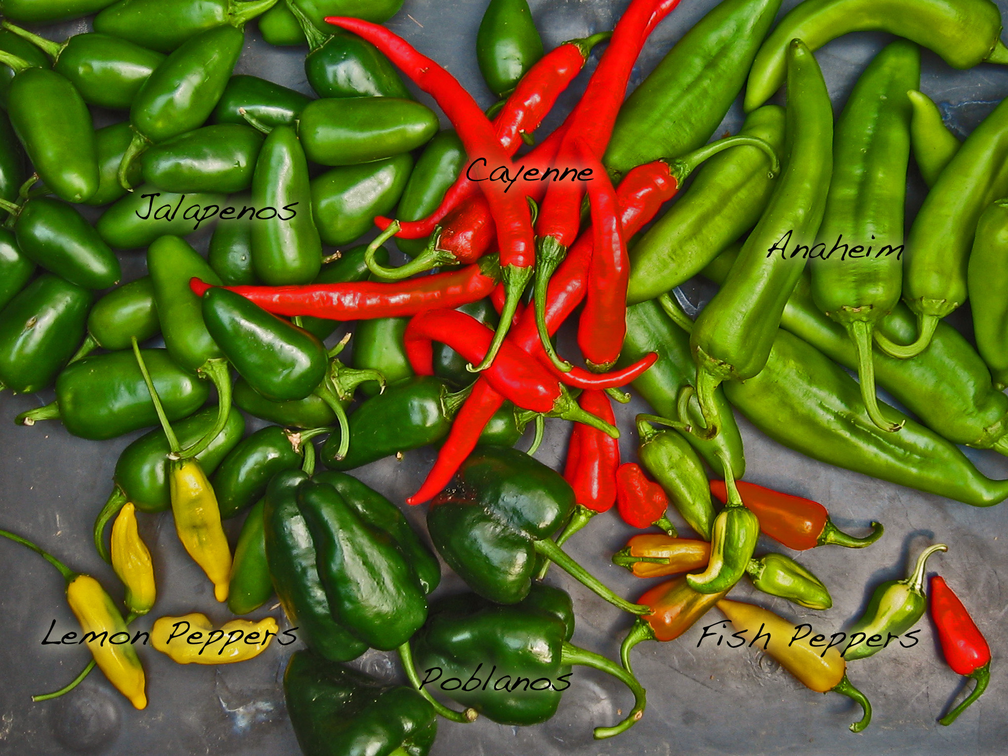 hot-peppers-trend-junky