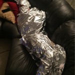 04bd69b0d6cde48e9c88a7d4eeab6177