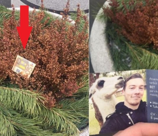 Jaunietis no Latvijas ļoti interesantā veidā meklē darbu! Pievērsiet tam uzmanību….