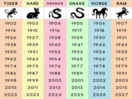 Kāda Ir Jūsu Ķīniešu Zodiaka Zīme Un Ko Tā Saka Par Jūsu Personību?