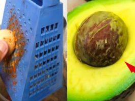 Uzzinājis Šo, Tu Nekad Vairs Nemetīsi Ārā Avokado Kauliņus! Lūk Kādēļ!