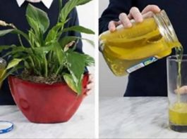 8 Pavisam Vienkārši Iemesli, Kāpēc Jums Nekādā Gadījumā Nevajadzētu Izliet Veco Marinādes Sulu Notekcaurulē! Lūk, Kur Tā Patiešām Noderēs!