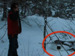Viņš Devās Uz Mājām, Bet Pa Ceļam Pamanīja Aizdomīgu Kasti. Kad Viņš Pamanīja, Kas Tajā Iekšā – Viņam Atpletās Mute!