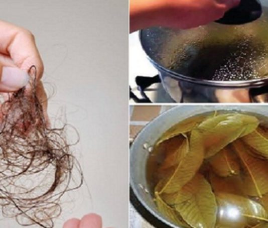 Krīt Ārā Mati? Pagatavo Šo Efektīvo Līdzekli Un Aizmirsti Par Izkrītošiem Matiem Uz Visu Mūžu!