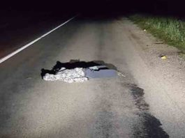 Uzmanību! Visi Latvijas Iedzīvotāji, Kuri Brauc Ar Mašīnu – Esiet Ļoti Uzmanīgi, Uz Ceļa Uzdarbojas Rūdīti Zagļi – Lūk Kāda Ir Viņu Shēma!