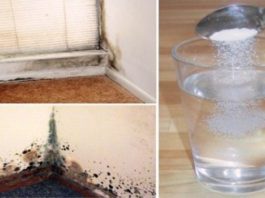 Šī Mikstūra Palīdzēs Atbrīvoties No Melnā Pelējuma Dabiski Un Neatgriezeniski!