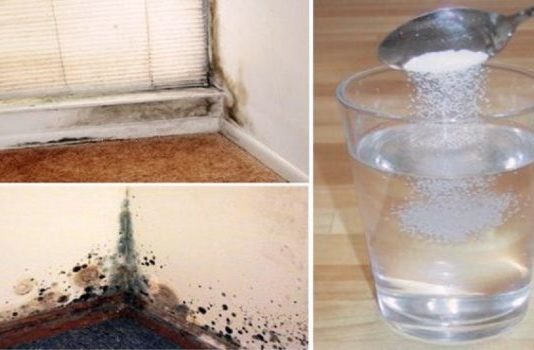 Šī Mikstūra Palīdzēs Atbrīvoties No Melnā Pelējuma Dabiski Un Neatgriezeniski!