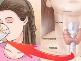 Nekavējoties Pārtrauciet Dzert Šo Iecienīto Dzērienu! Tas Lēnām Iznīcina Jūsu Vairogdziedzeri Un Padara Jūs Neauglīgu!