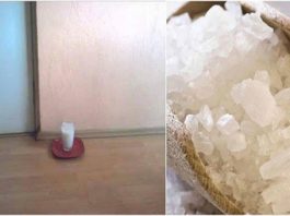 Atstājiet Ūdens Glāzē Sāli Kopā Ar Etiķi, Nolieciet To Uz Zemes – Lūk Kādas Izmaiņās Jūs Redzēsiet 24 Stundu Laikā!