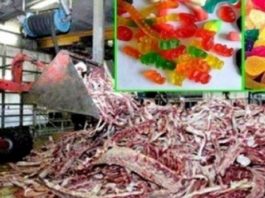 Tikai Nenokrītiet No Krēsla! Lūk No Kā Patiesībā Tiek Gatavoti Bērnu Mīļākie Saldumi!