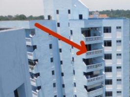 Šī Vecā Kundzīte Pie Sevis Dzīvokli Nelaida Vairāk Nekā 10 Gadus. Kad Ieraudzīsi, Kas Atrodas Viņas Dzīvoklī – Sapratīsiet Kādēļ!