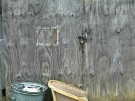 Īpašnieki Atstāju Viņu Nomirst Šajā Mazajā, Slēgtajā Šķūnī – Pēc Divām Nedēļām Notika Šis!