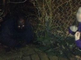 Pasaulē Baisākais Vīrs? Viņš Pazīstams Kā Grīnokas Kaķvīrs – Jūs Pat Iedomāties Nespējat, Kā Viņš Izskatās – Šausmas!