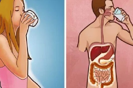 11 Ricineļļas Pielietojumi, Par Kuriem Jūs Neko Neesat Zinājuši. Tas Noderēs Visai Dzīvei