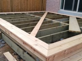 Tas, Ko Šis Puisis Izveidoja Savā Pagalmā, Padarīja Viņa Kaimiņus Ļoti Greisirdīgus – Lūk, Ko Viņš Izveidoja!