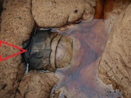 Ceļa Strādnieki Rokot Ceļu Uzdūrās, Milzīgai Kastei – Kad Viņi To Atvēra – Visiem Mutes Bija Vaļā – Ko Tādu Neredzēt Pat Filmās!