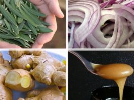 Kuras Dabīgās Antibiotikas Iznīcina Infekcijas? Farmācijas Kompānijas, Nevēlas, Lai To Zinām!
