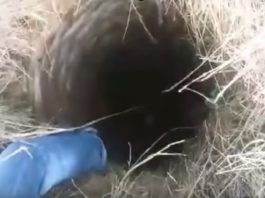 No Šīs Akas Veselu Mēnesi Bija Dzirdamas Ļoti Mistiskas Skaņas, Tas Ko Akas Apakšā Atrada Glābēji – Šokēja Visus!