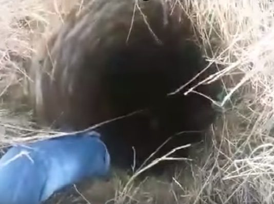 No Šīs Akas Veselu Mēnesi Bija Dzirdamas Ļoti Mistiskas Skaņas, Tas Ko Akas Apakšā Atrada Glābēji – Šokēja Visus!