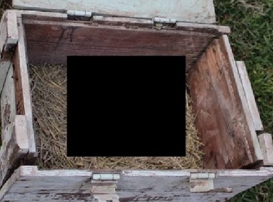 Tas Ko Šis Bulgāru Fermeris Atrada Arot Savu Zemi, Liek Pat Zinātniekiem Strīdēties Vēl Šodien