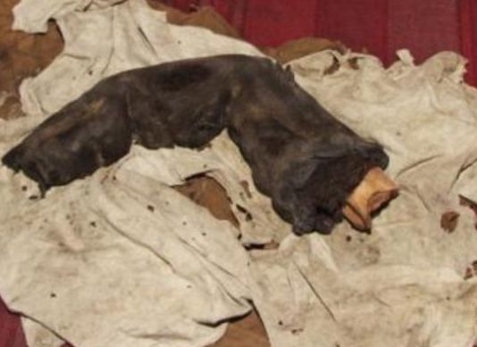 Vai Tik Tiešām Vēsturē Dzīvojuši Milži? Arheologi Ēģiptes Pakājē Atrod Gigantisku Sievietes Mumificējušos Pirkstus, Bet Tas Nav Viss!