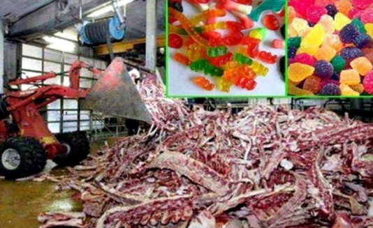 Tikai Nenokrīti No Krēsla Uzzinot, No Kā Patiesībā Tiek Gatavoti Mīļākie Bērnu Saldumi