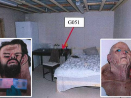 Šis Psihiski Slimai Zviedru Ārsts Uzdzina Šermuļus Visai Pasauli. Viņš Uzcēla Slēptu Bunkuru Mežā, Lai Paverdzinātu Sievietes