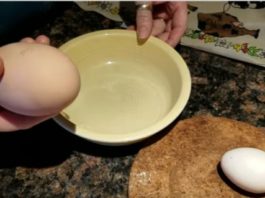 Viņš Pamanīja Milzīgu Vistas Olu, Tad To Pārsita Uz Pusēm Un Tās Iekšpusē Atrada, Ko Tādu, Ko Nekad Dzīvē Neiedomāsies