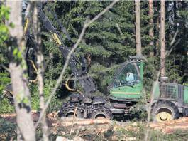 Tepat, Latvijā uz meža darbiem alga 2000 Eiro, bet trūkst darbinieku – kā tā var būt?