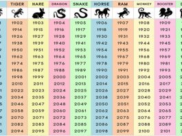 Kāda ir Tava Ķīniešu zodiaka zīme un ko tā stāsta pa Tavu personību?