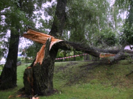 Paziņota laika prognoze nākamajai nedēļai – Un tā nekādā ziņā nav iepriecinoša…
