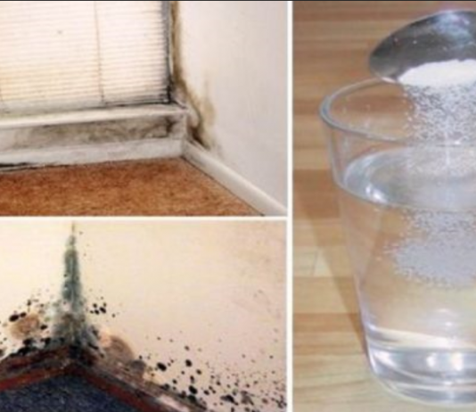 Šī Mikstūra Palīdzēs Atbrīvoties No Melnā Pelējuma Dabiski Un Neatgriezeniski!