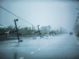 Latvijā paaugstināts brīdinājuma līmenis! Visā Latvijas teritorijā gaidāma spēcīga vētra! Esiet uzmanīgi