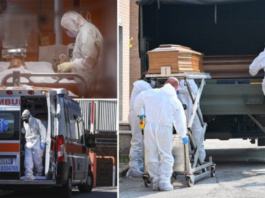 Britu zinātniece paziņojusi, kas tad īstenībā izraisījis pandēmiju