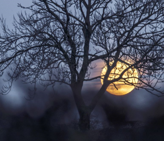 Bīstamais Pilnmēness Septembra vidū! Ko tas atnesīskatrai zīmei – Izlasi un rūpīgi liec aiz auss, lai neiekļūtu problēmās